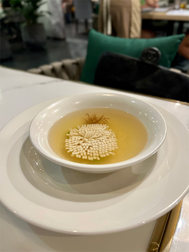 The Vegetarian Soups