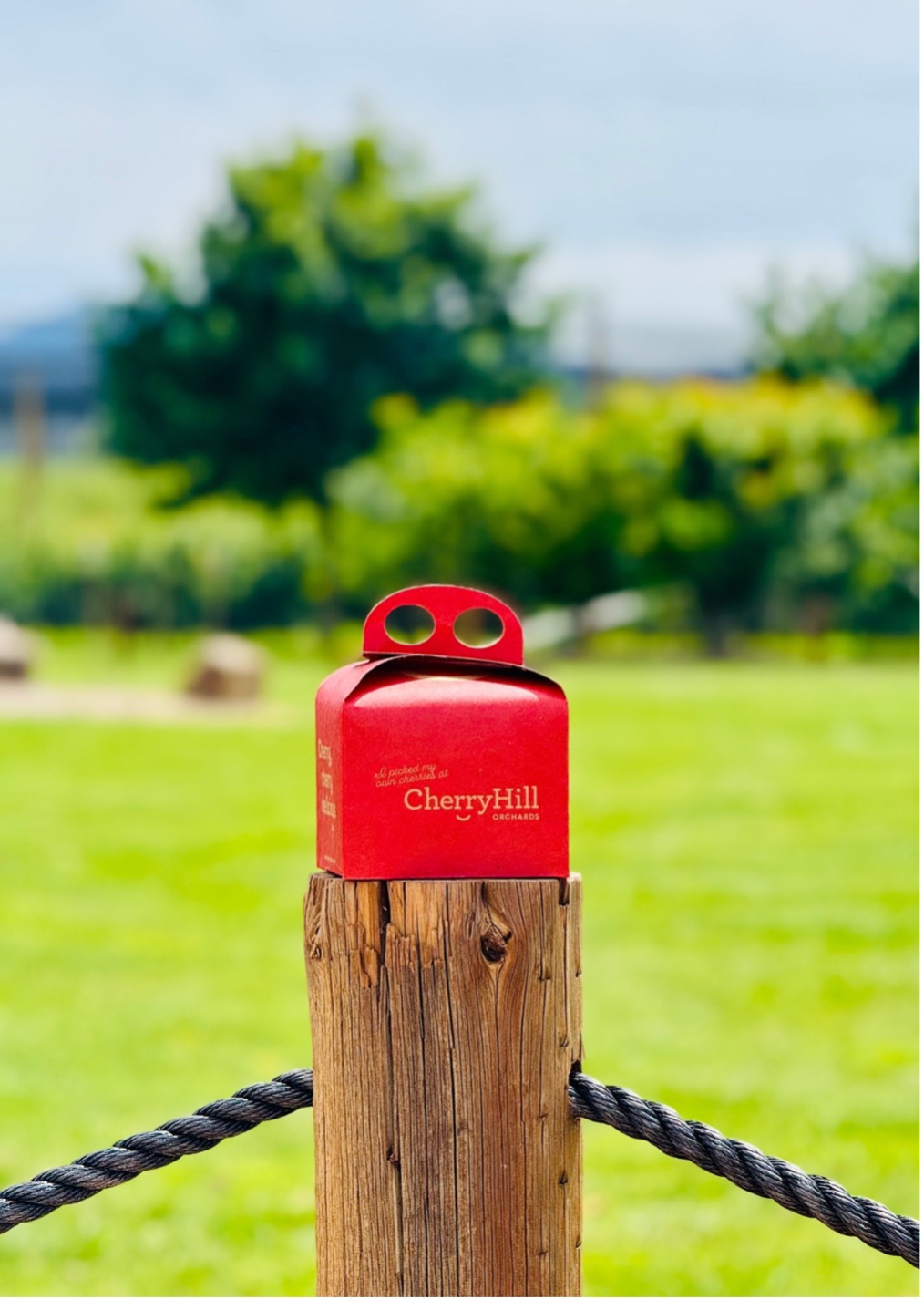 CherryHill Orchards cherry box resting on a wooden post with green orchard in the background