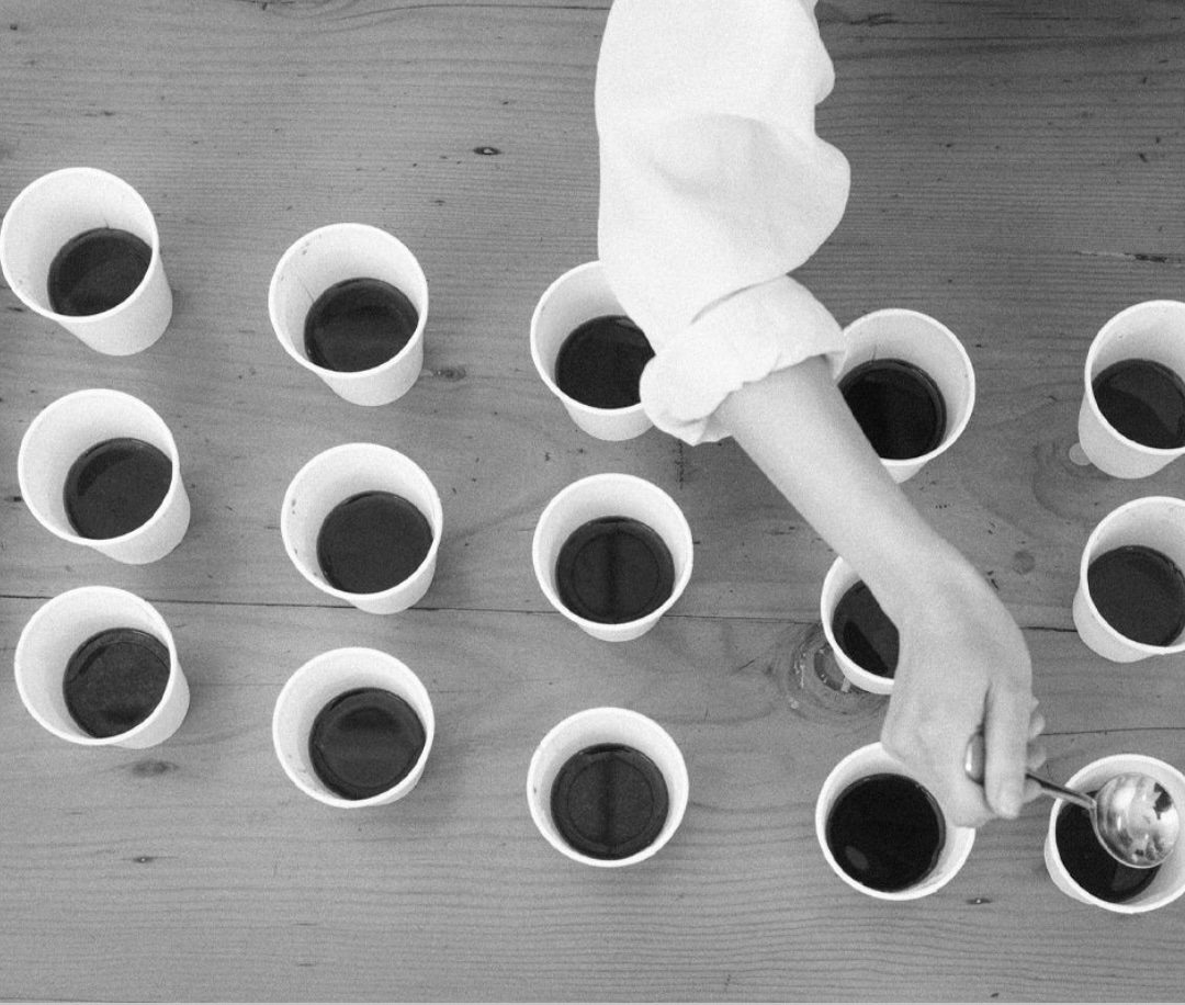 Bench Coffee Co — The Quiet Overachiever (Next on My List)