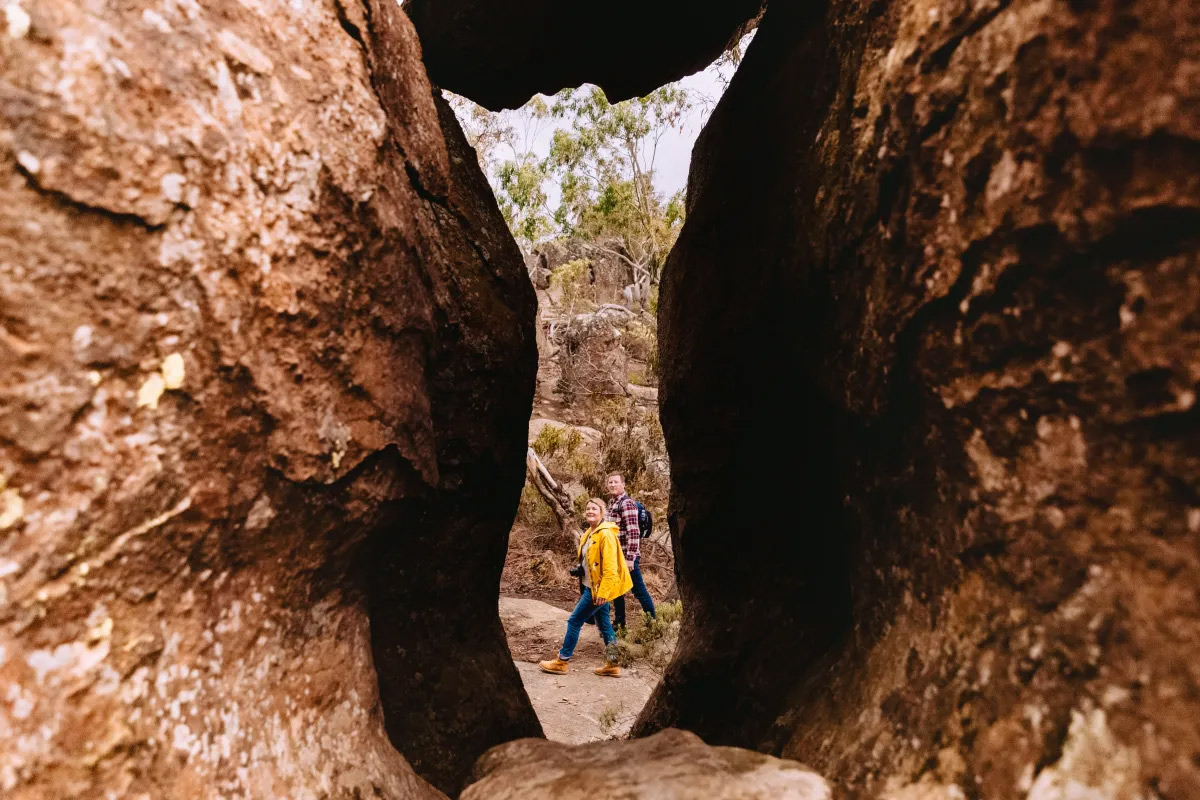 Macedon Ranges: Autumn Colour, Hidden Wineries and Apple Orchards — 1 Hour North-West