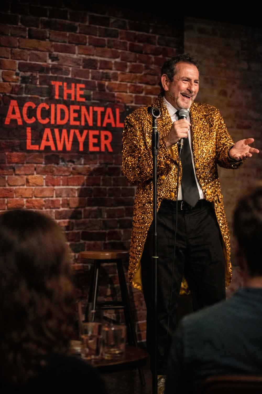 Accidental Lawyer